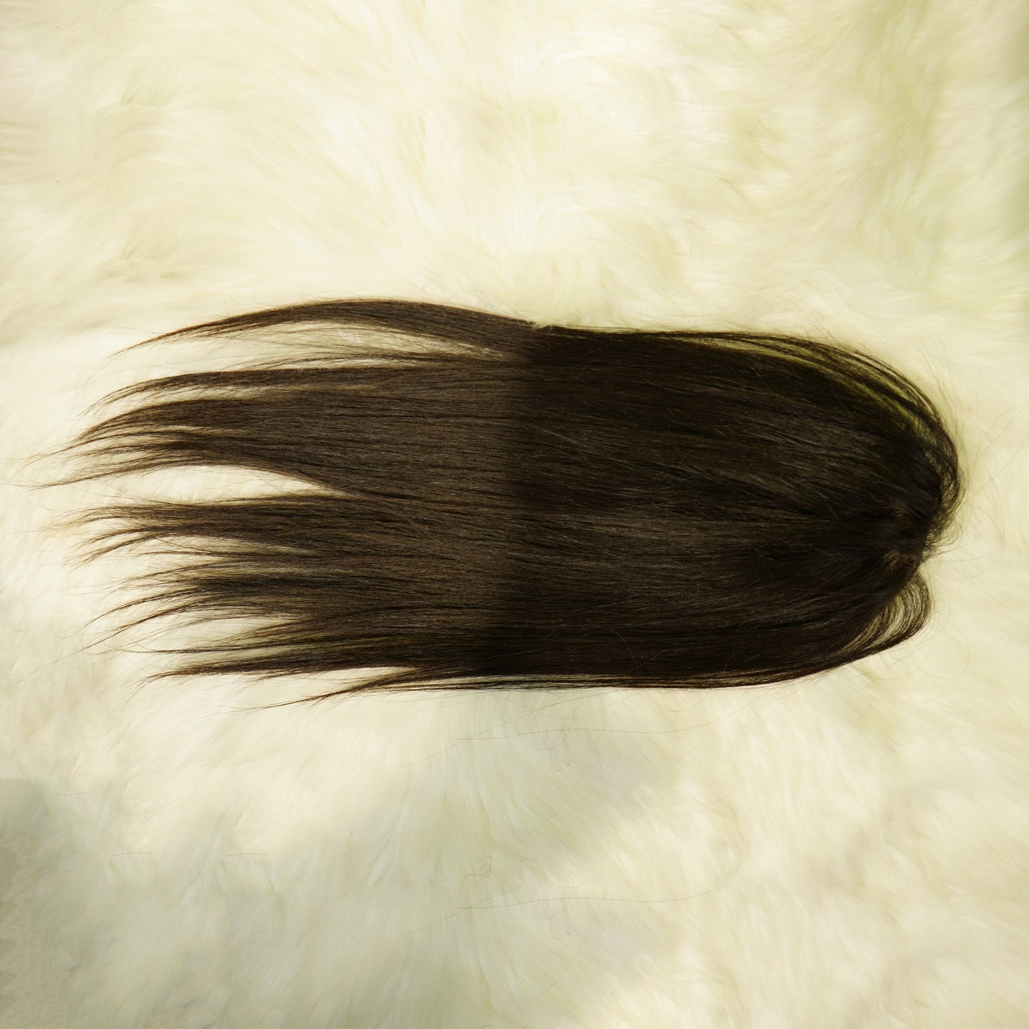 Center Wig Straight Silk Top Human Hair 12 Inch