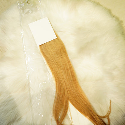 Center Wig Asian Raw Hair #27 Straight Hair Extensions