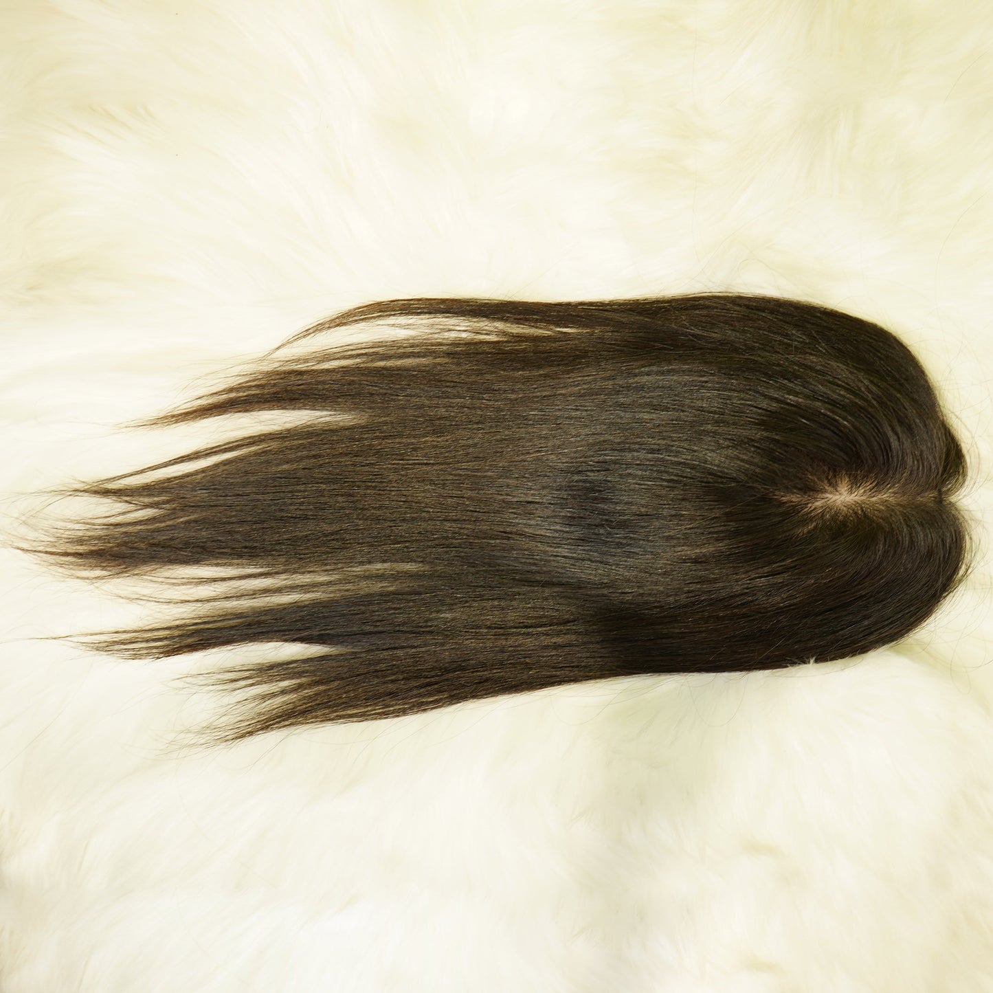 Center Wig Straight Silk Top Human Hair 12 Inch